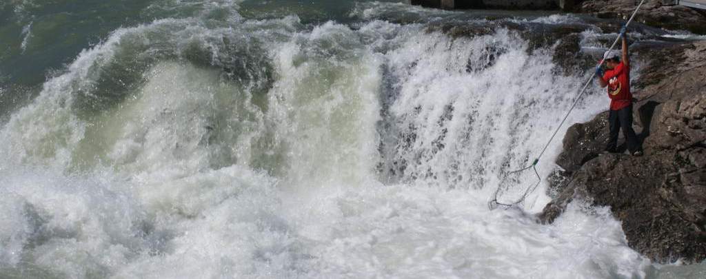 pescant salmó a l'estil tradicional, nord de la Colúmbia Britànica