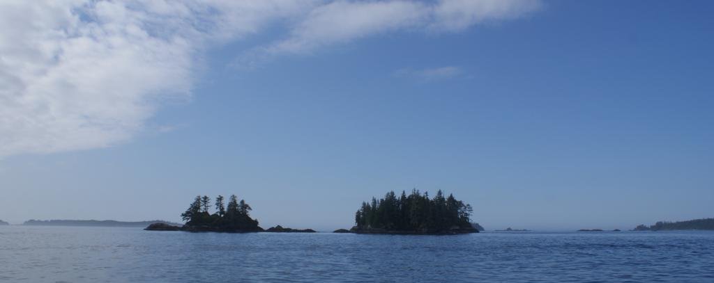 Tofino