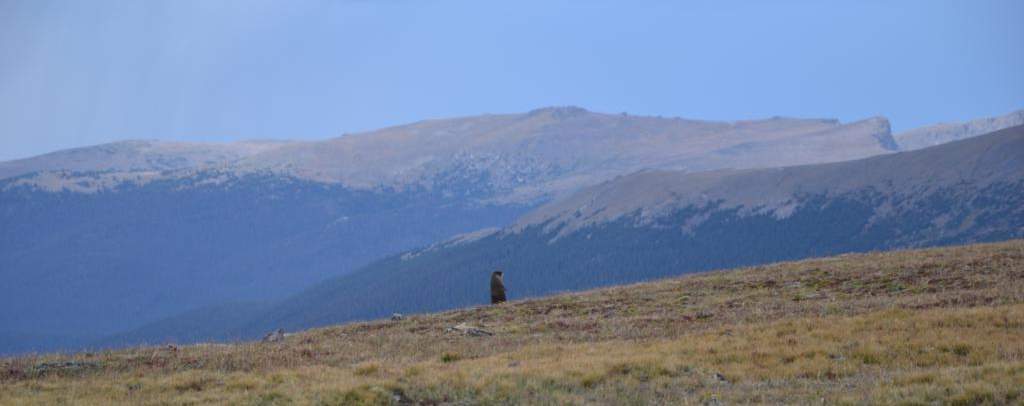 Rocky Mountain National Park