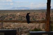 parc nacional de Mesa Verde